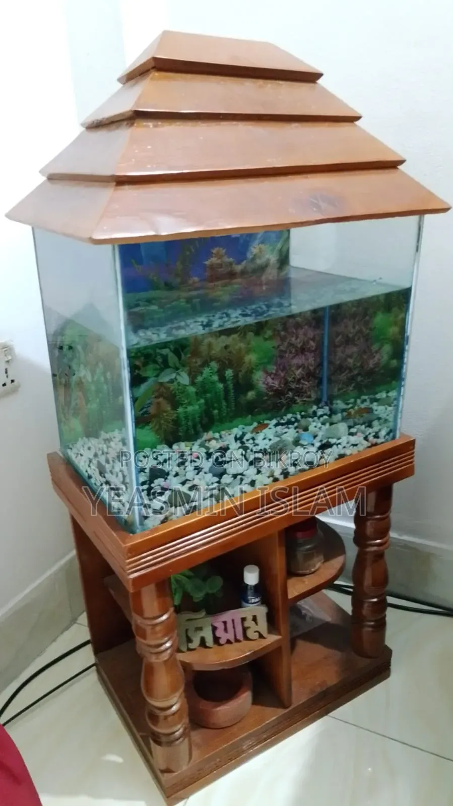 1 Aquarium