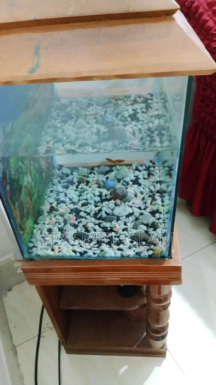 1 Aquarium