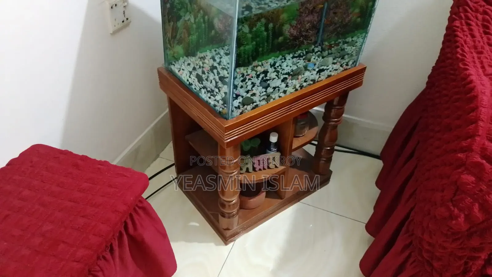 1 Aquarium