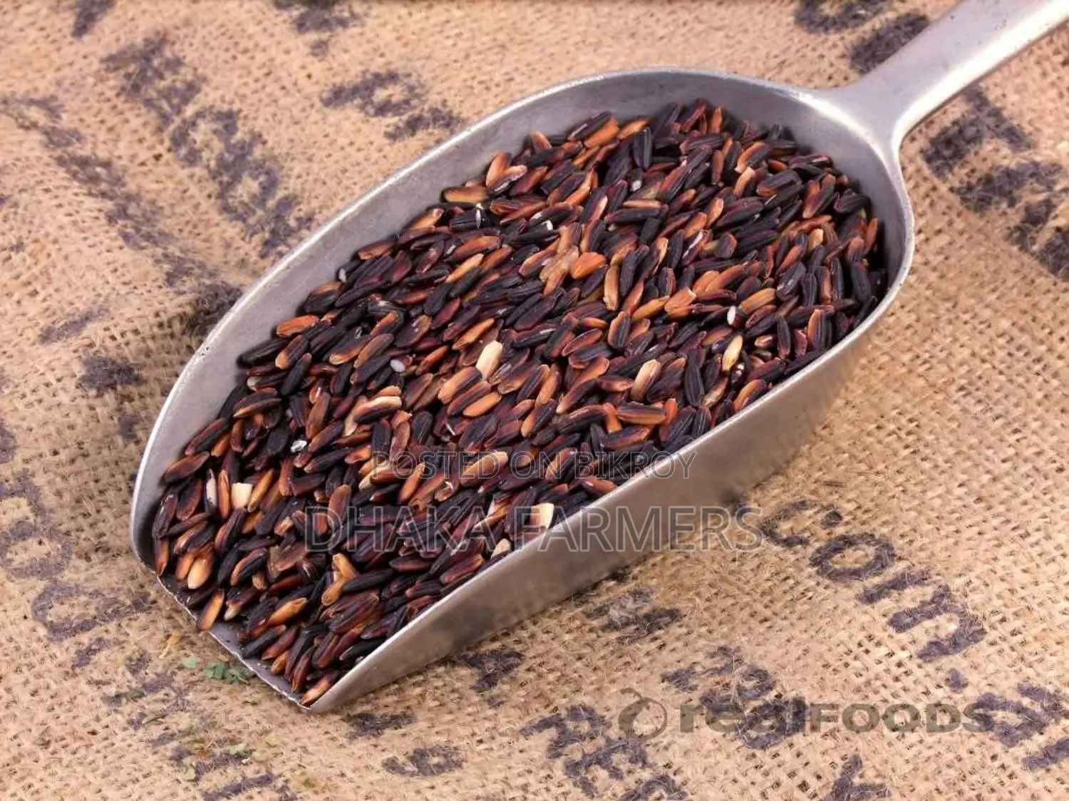 ব্ল্যাক রাইস