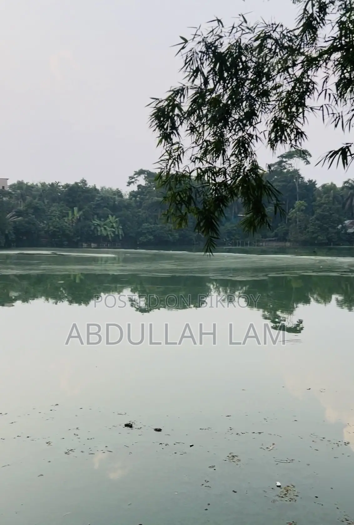 Land Sale (Barisal) 365 Percent