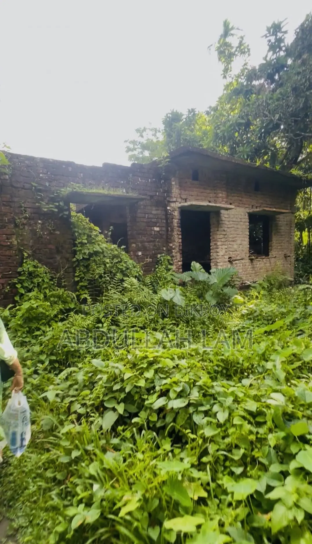 Land Sale (Barisal) 365 Percent