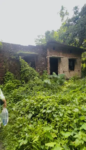 Land Sale (Barisal) 365 Percent