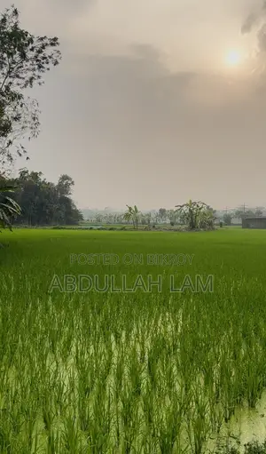 Land Sale (Barisal) 365 Percent