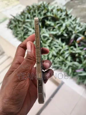 Apple iPhone 12 Pro 256 GB Rose Gold