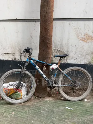 Bicycle for sale