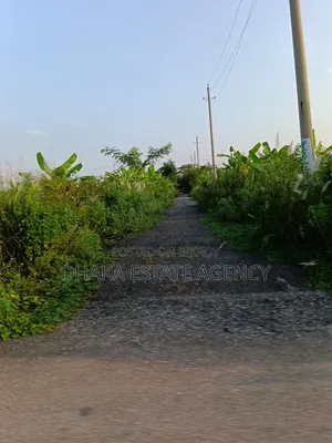 Sector 15, South-East Corner 3 Katha