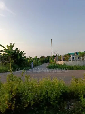 Sector 15, South-East Corner 3 Katha