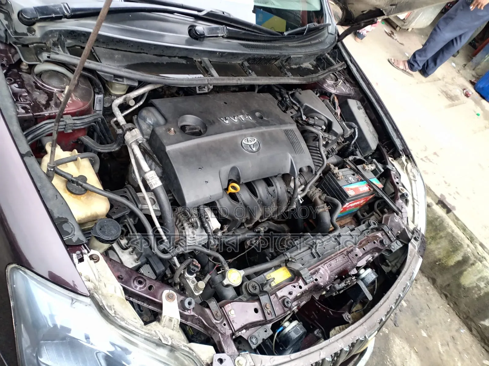 Toyota Premio 2009 Maroon