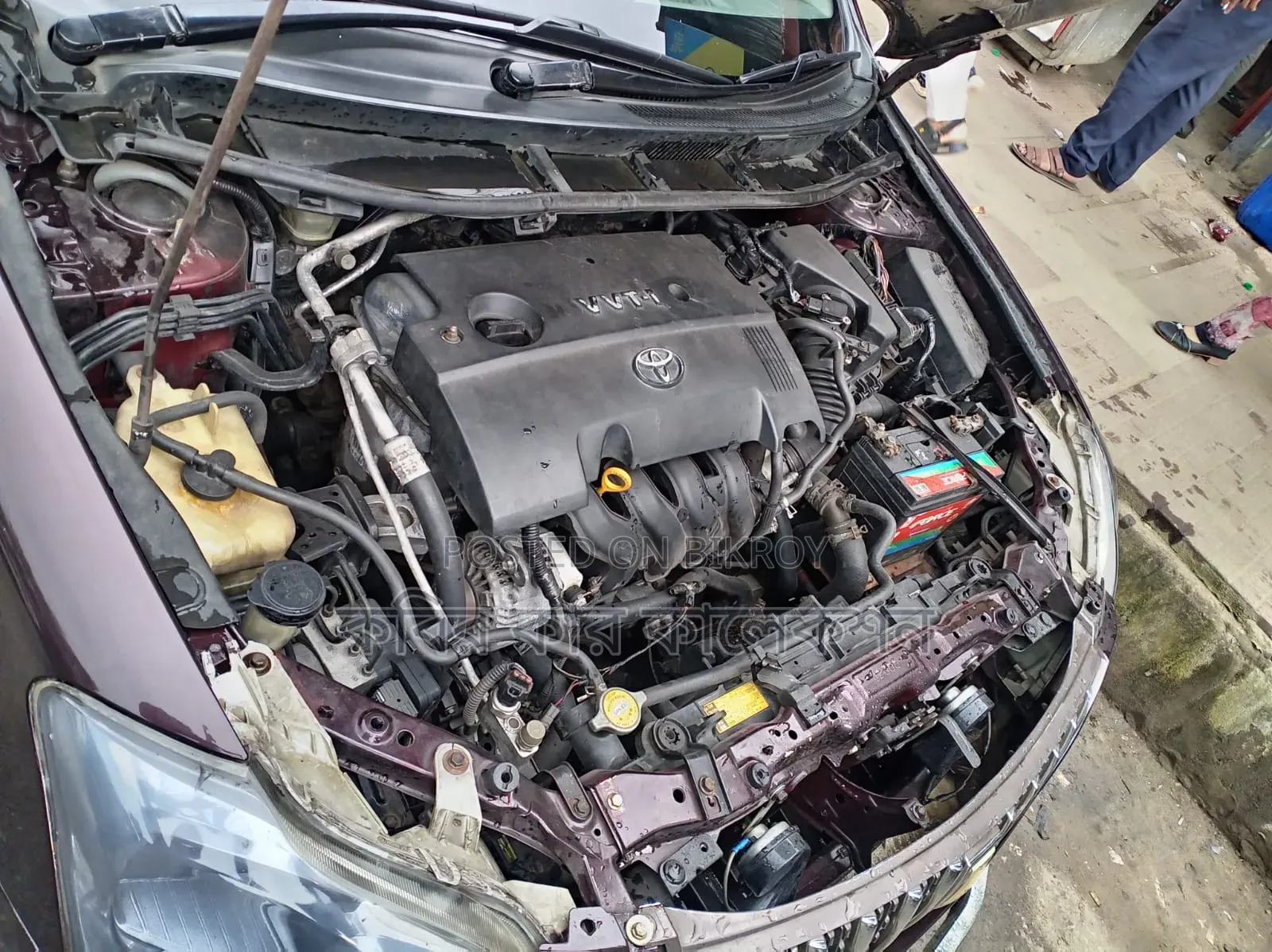 Toyota Premio 2009 Maroon