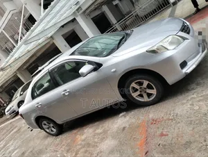 Toyota Axio 2009 Silver
