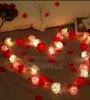 লাইট ৮০ পিছ