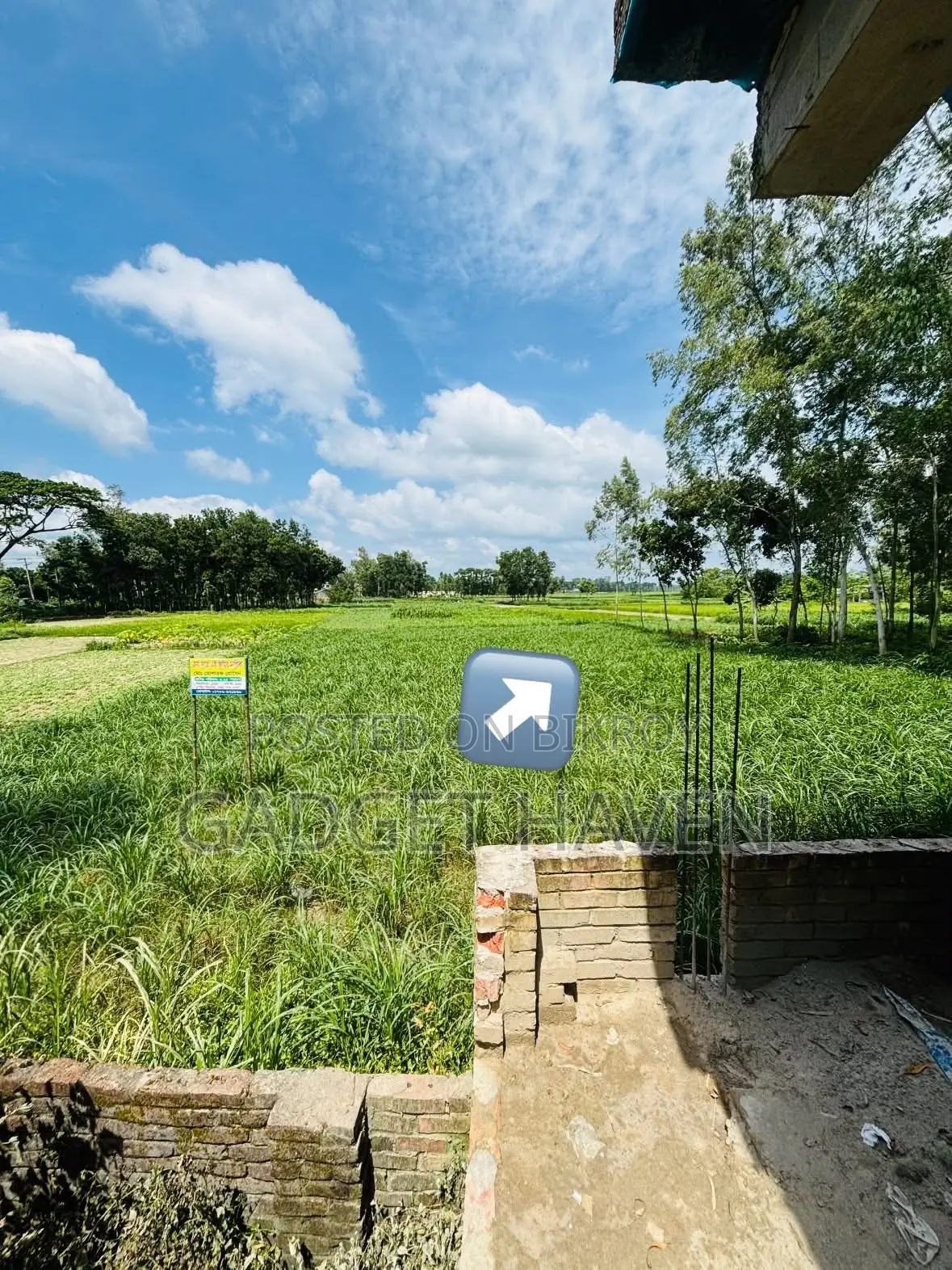 আর্জেন্ট জমি বিক্রয় করা হবে, মাটিডালি,বগুড়া