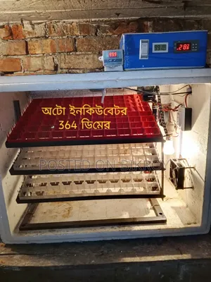 Automatic Incubator for 364 Eggs