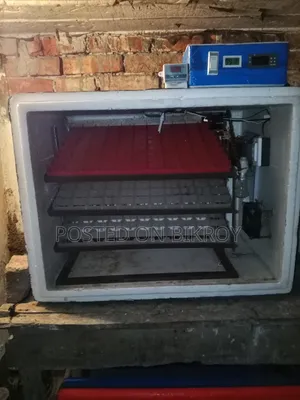 Automatic Incubator for 364 Eggs