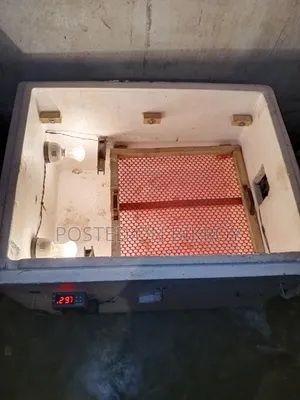 Automatic Incubator for 364 Eggs