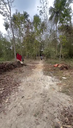 Land Sale (Barisal) 365 Percent