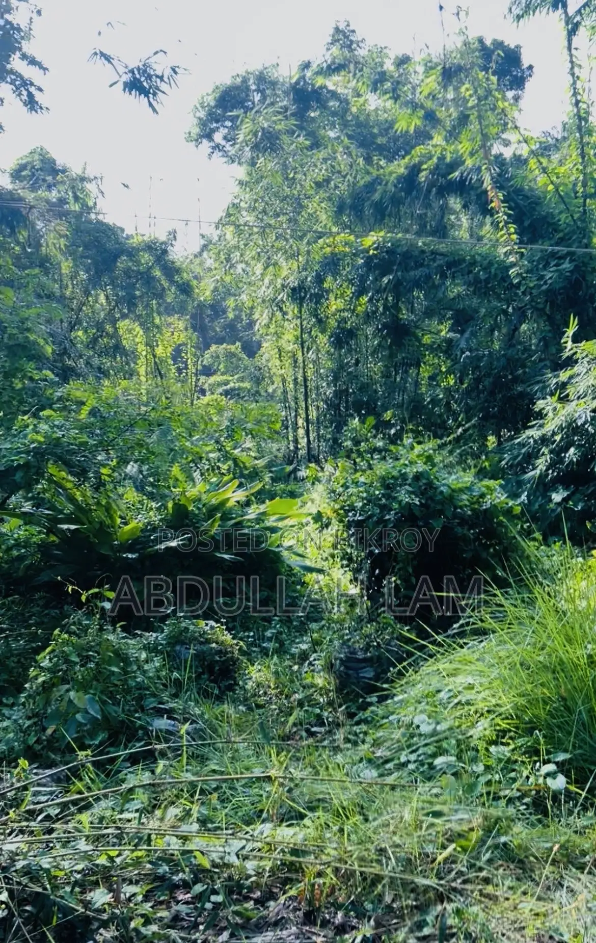 Land Sale (Barisal) 365 Percent