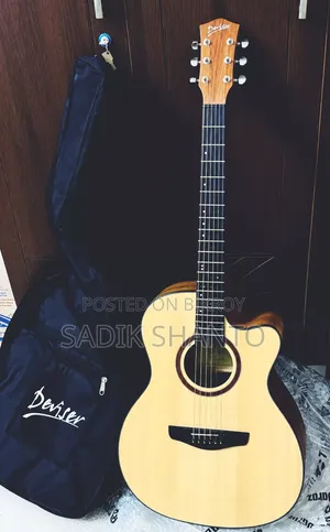 Deviser LS-570 Acoustic Guitar for Sale