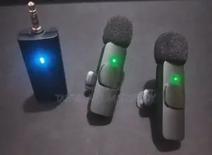 Microphone