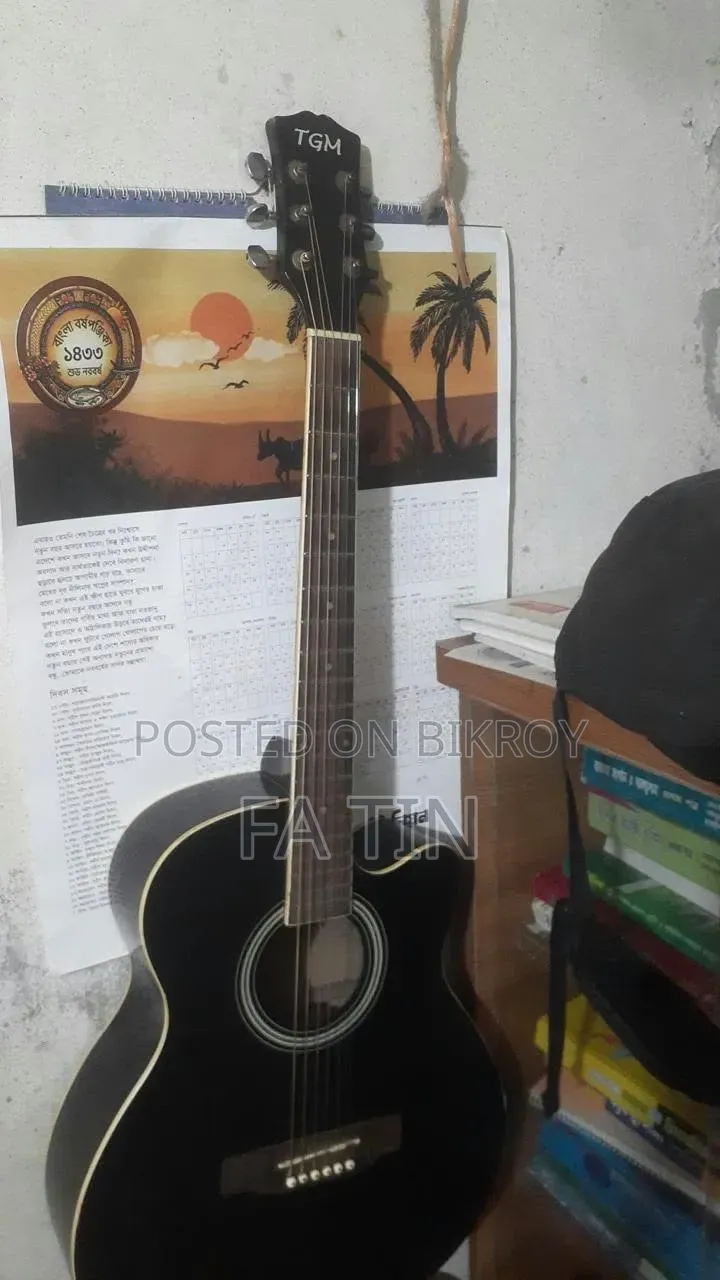 TGM Guitar