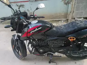 Bajaj Pulsar 150 2024 Black