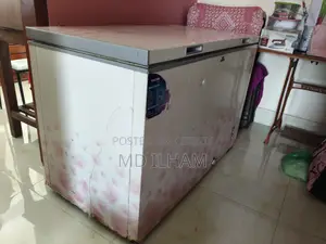 Walton Freezer (Deep Freeze) 300 LTR