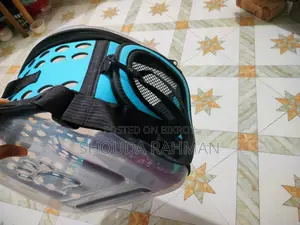 ক্যাট ক্যারিয়ার ব্যাগ