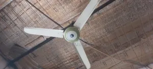 MFC Ceiling Fan "56"