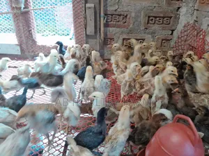 Sonali Chicken