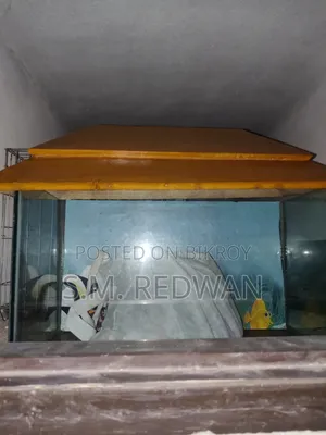 অ্যাকোয়ারিয়াম ফিশ ট্যাংক