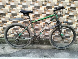 Phoenix 26" Gear Cycle 3/7 Speed