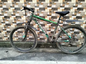 Phoenix 26" Gear Cycle 3/7 Speed
