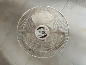PAK Ceiling Fan