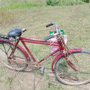 বাই সাইকেল