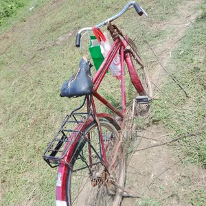 বাই সাইকেল