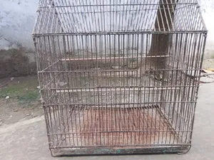 পাখির খাঁচা