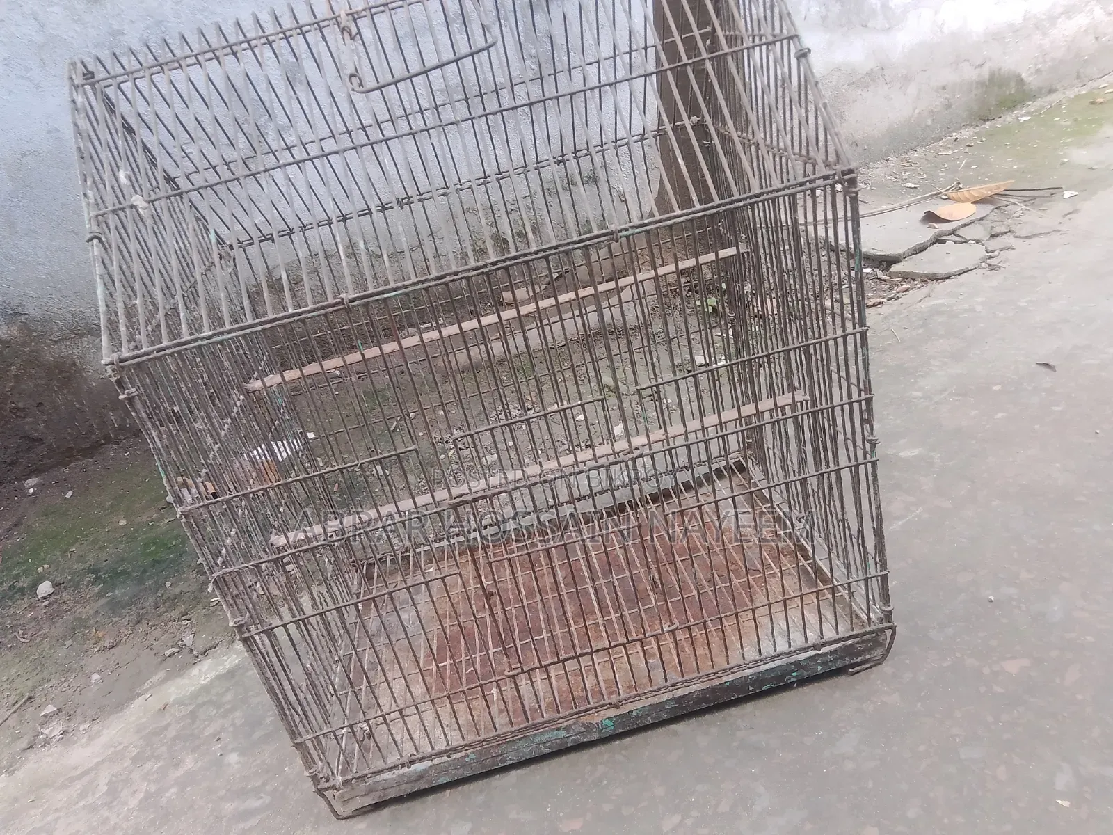 পাখির খাঁচা