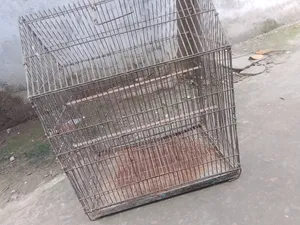পাখির খাঁচা