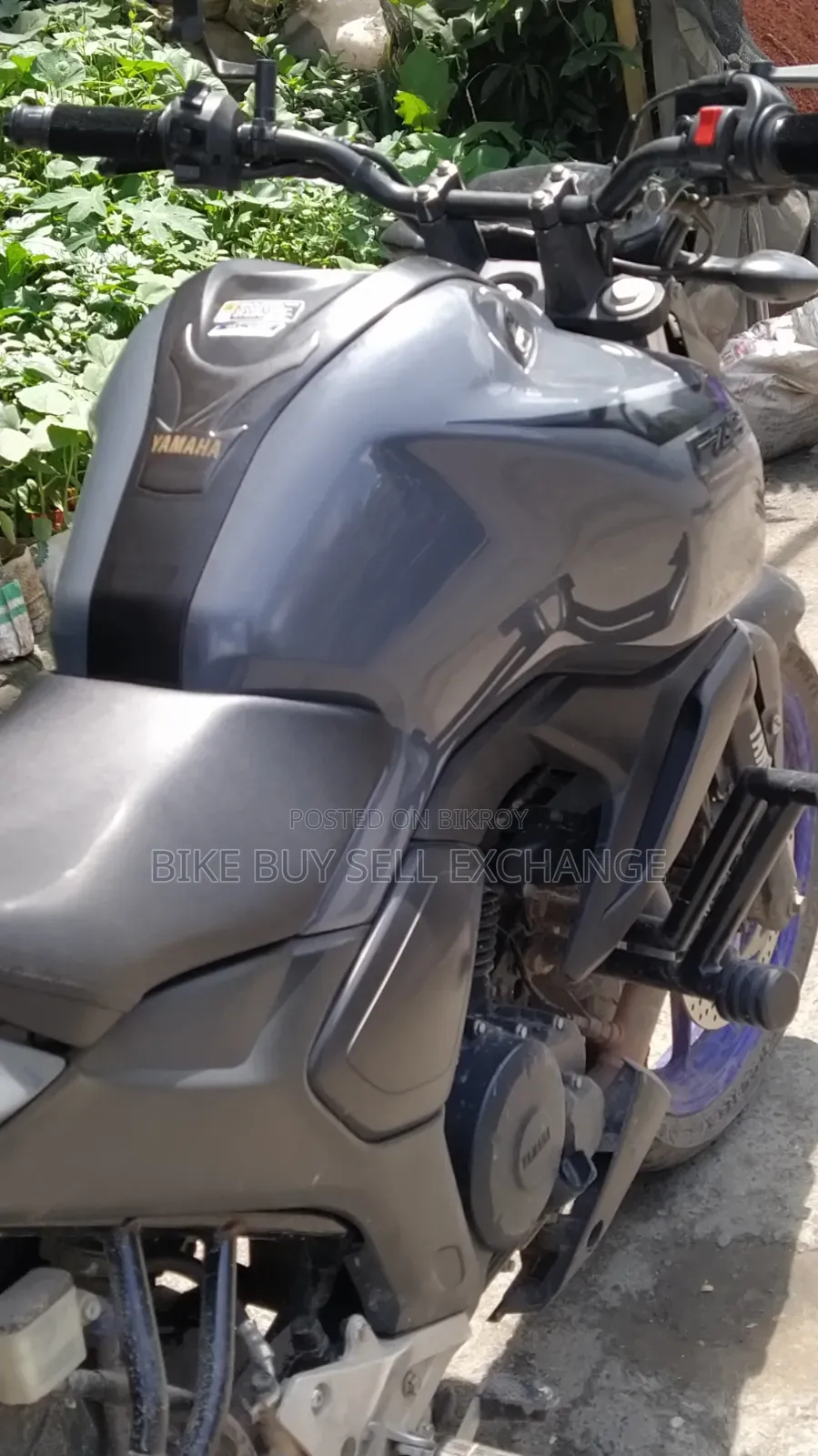 Yamaha FZS V3 2024 White