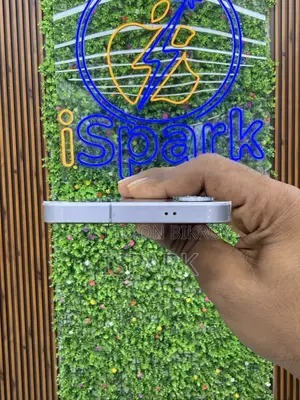স্যামসাং গ্যালাক্সি এস২৫ ২৫৬ জিবি সিলভার