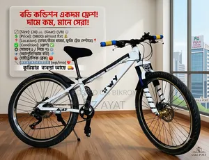 স্টান্ট সাইকেল