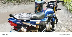 Bajaj Platina 100 2020 Blue