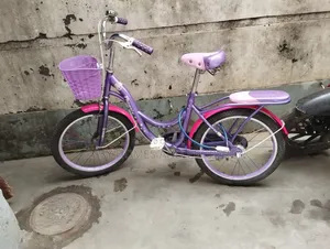 Want to Sale a Used Bicycle
