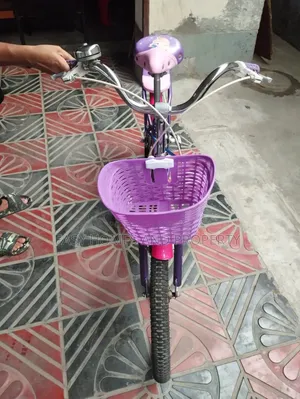 Want to Sale a Used Bicycle