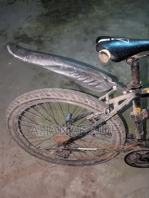 Cycle, values. 19 Gear Cycle