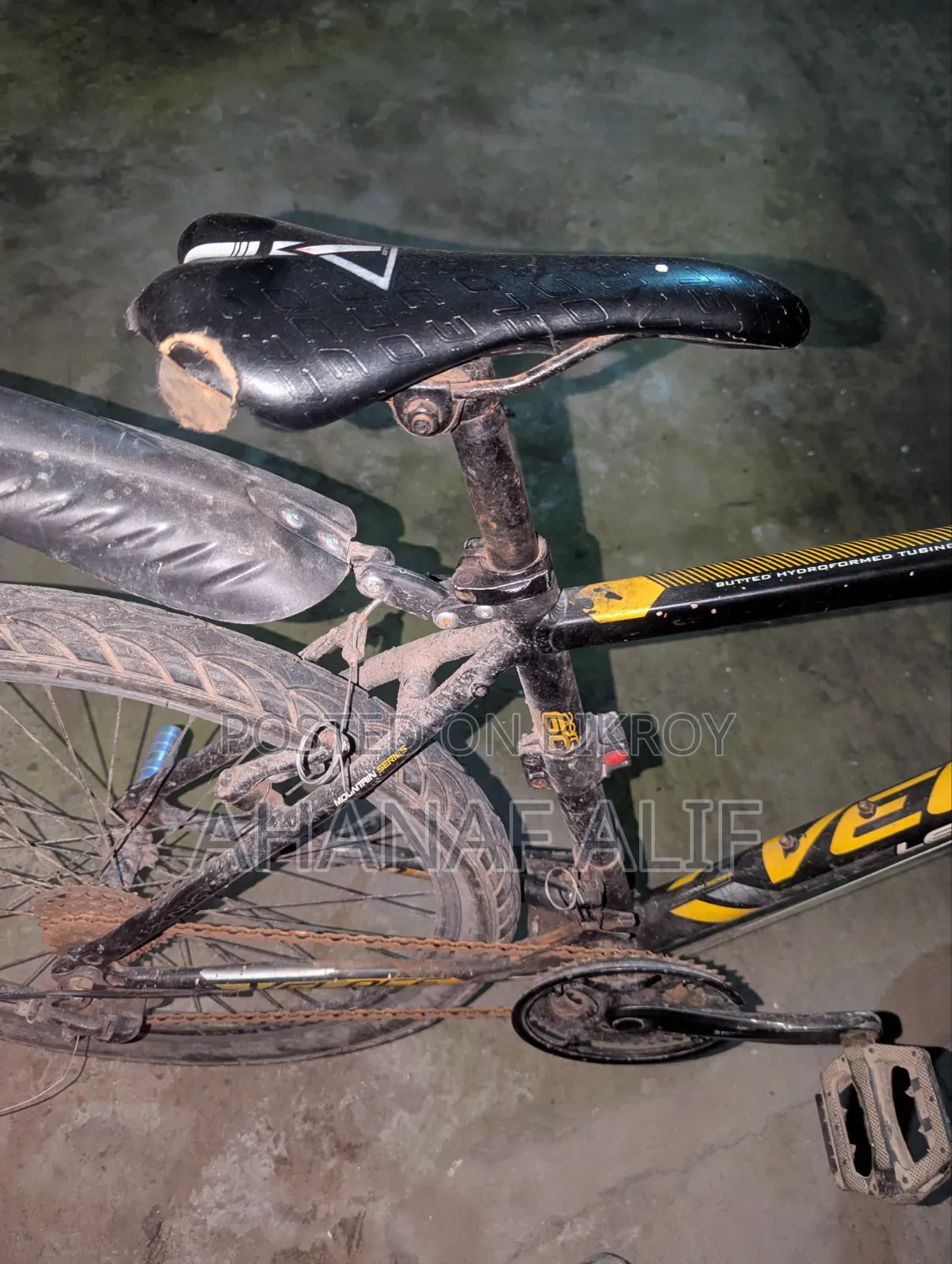Cycle, values. 19 Gear Cycle