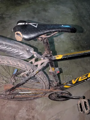Cycle, values. 19 Gear Cycle