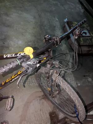 Cycle, values. 19 Gear Cycle