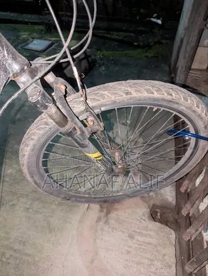 Cycle, values. 19 Gear Cycle